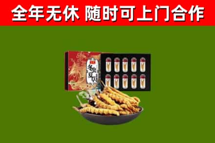湘潭市回收冬虫夏草价格